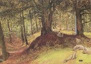 Richard Redgrave,RA Parkhurst Woods,Abinger (mk46) oil